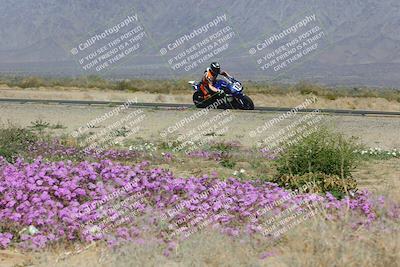 media/Feb-04-2023-SoCal Trackdays (Sat) [[8a776bf2c3]]/Turn 15 Inside Blooming (1050am)/